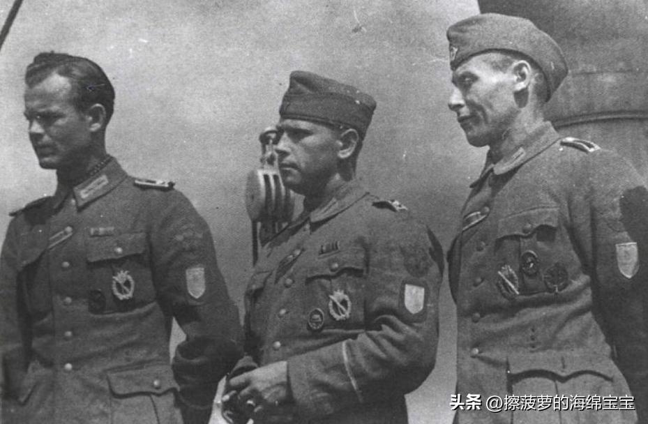 霍尔姆盾章二战德国,二战德国军奖章