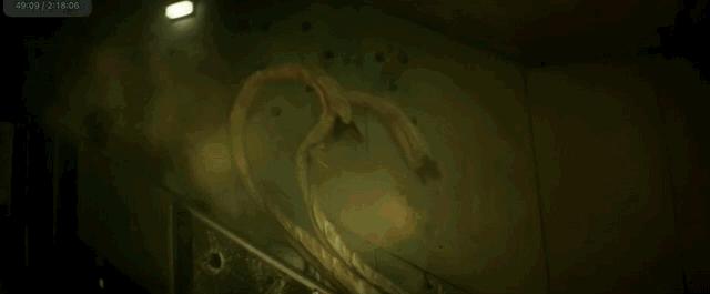 星爵最新科幻片,星爵大战恐龙电影