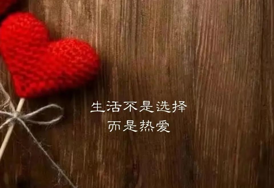 老李侃茶：宝岛台湾