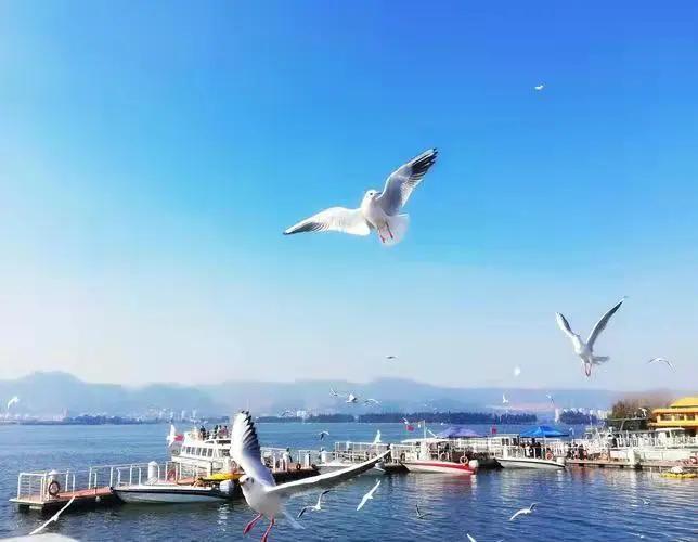 春节旅游最佳去处云南旅游攻略,春节云南旅游必去的景点推荐