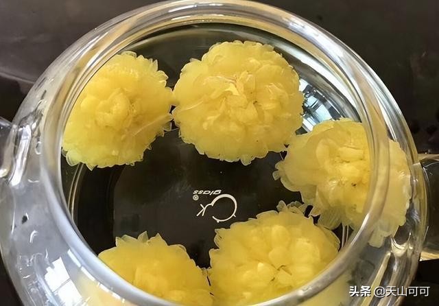 伏天适合喝哪种菊花,夏季喝干菊花冬天喝什么