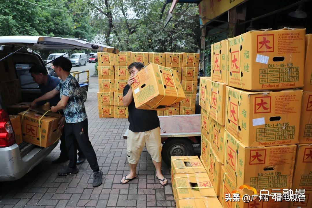 广州哪里榴莲批发最便宜,进口的榴莲多少钱一斤