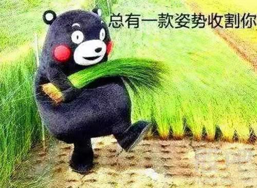 当下，还是躺平了阅读吧，否则被割韭菜的就是你