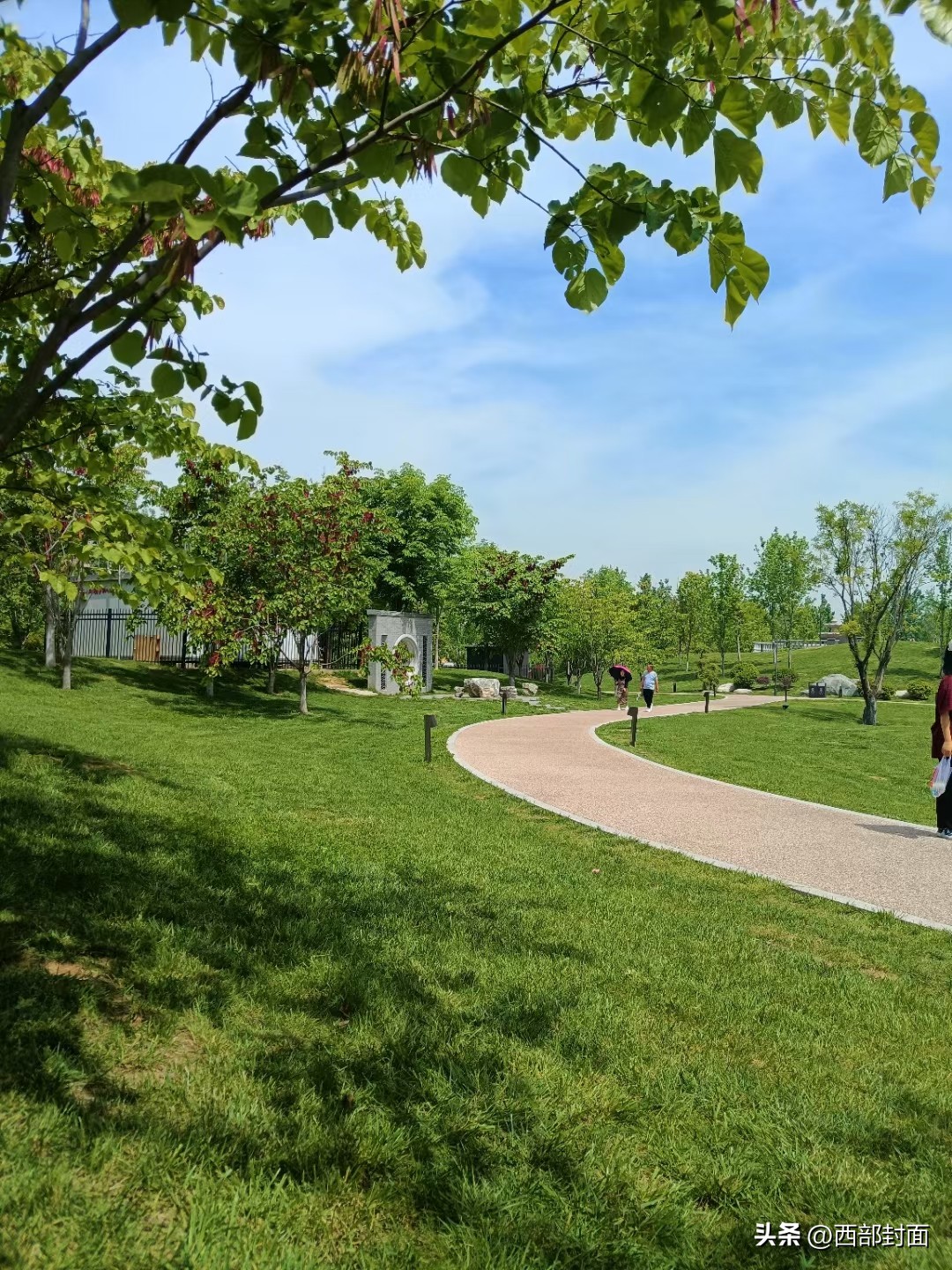 延安高飞,延安高飞散文欣赏