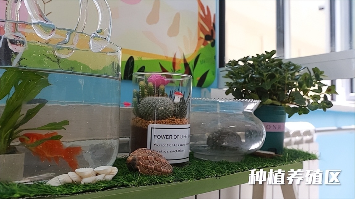 青岛灵山湾全国最美海湾,青岛海湾美景灵山湾