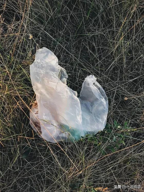 解密香港99年hellokitty藏尸案,hellokitty香港藏尸案