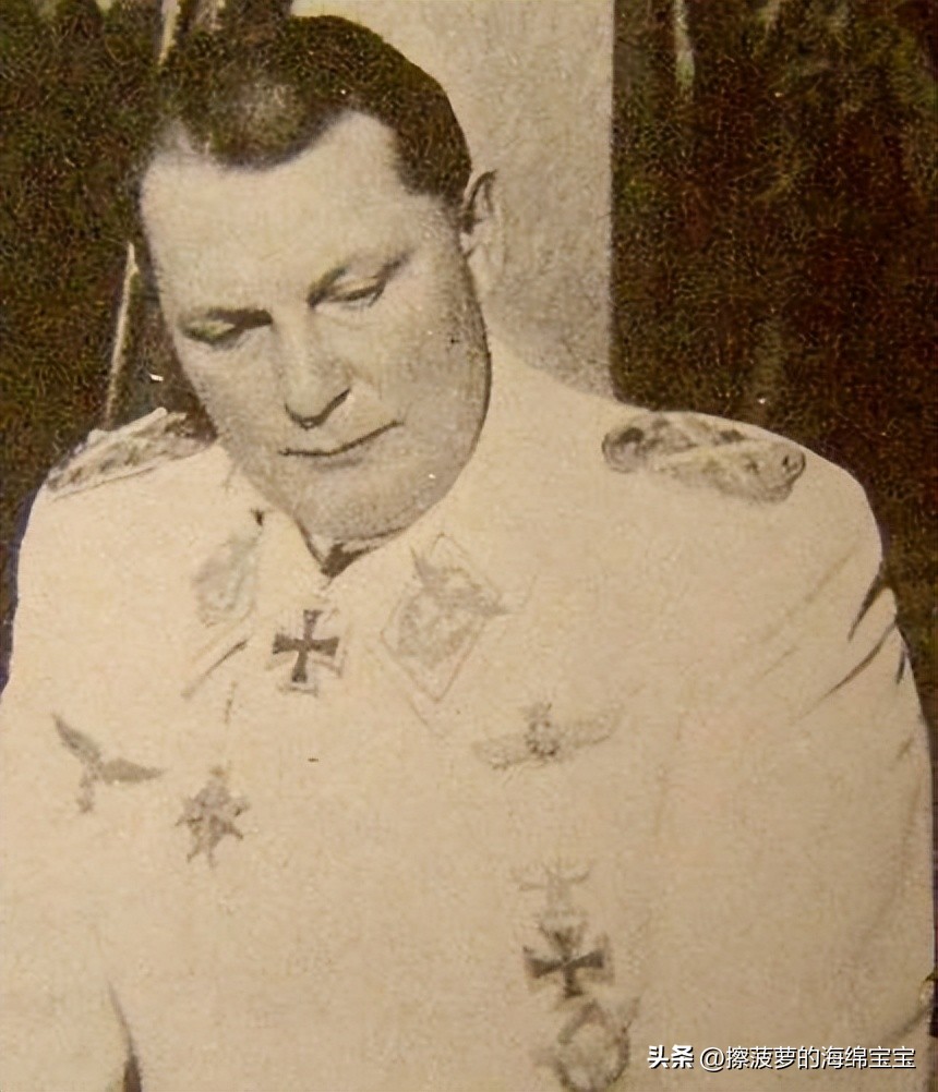 二战德国将军军衔图案,二战德国突击队队长军衔
