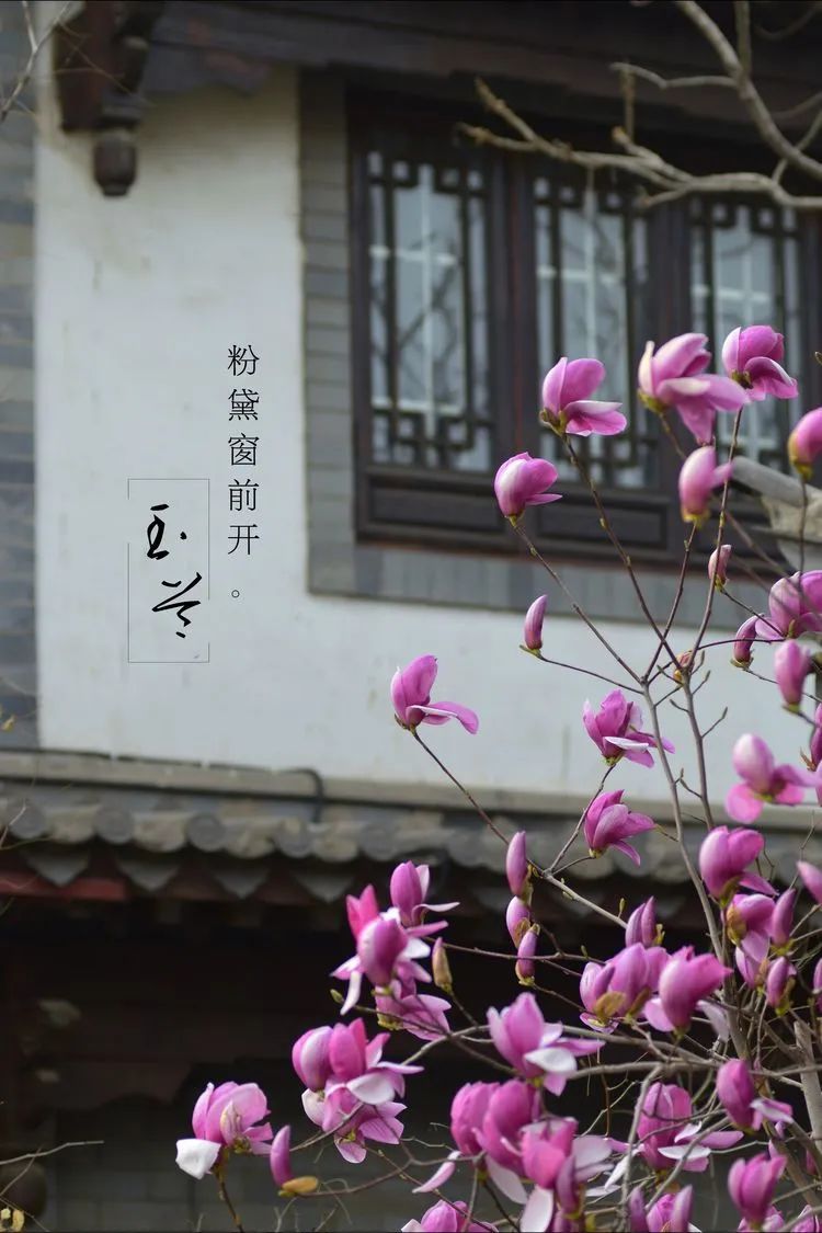 滦州古城都有哪些特色美景,滦州古城江南