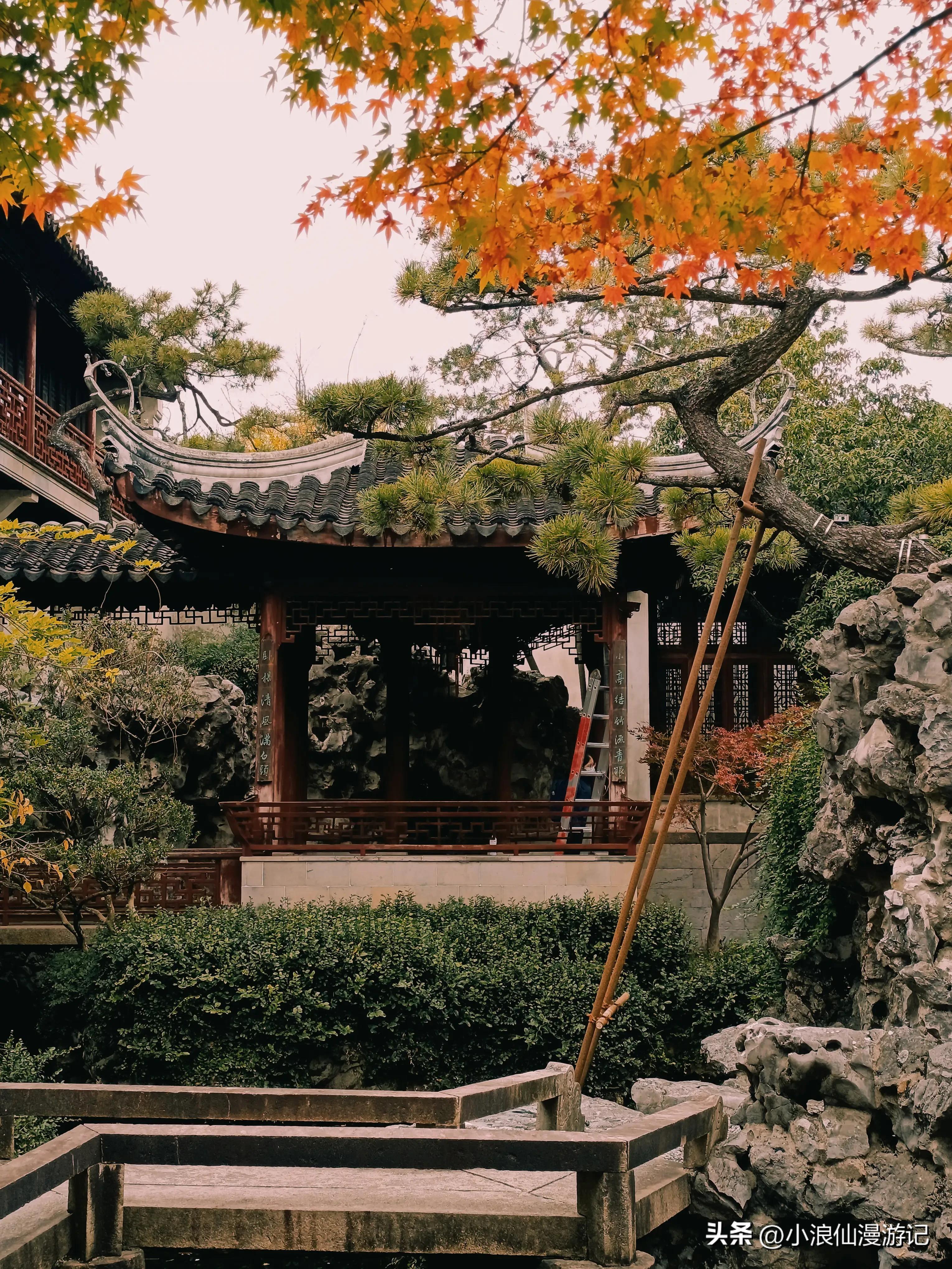 苏州天平山赏枫品茶的句子,苏州赏枫除了天平山还有哪