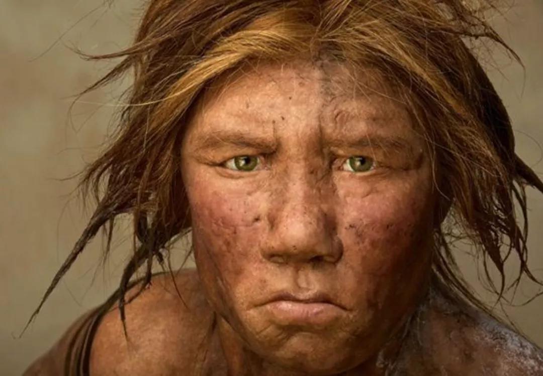 中国人祖先从哪来,中国人的祖先从哪来