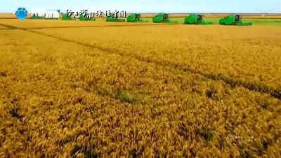 2023年“欢乐春节和合共生”音乐会向全球观众精彩呈现中国之美、河南之韵