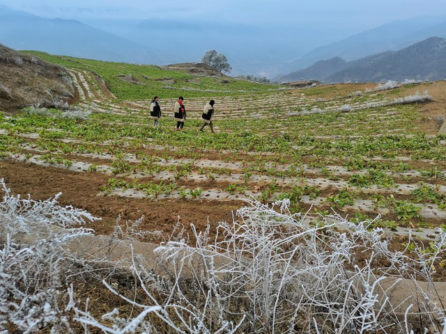 最新南昌湾里铜锣湾冰雪项目进展,南昌铜锣湾冰雪乐城地块