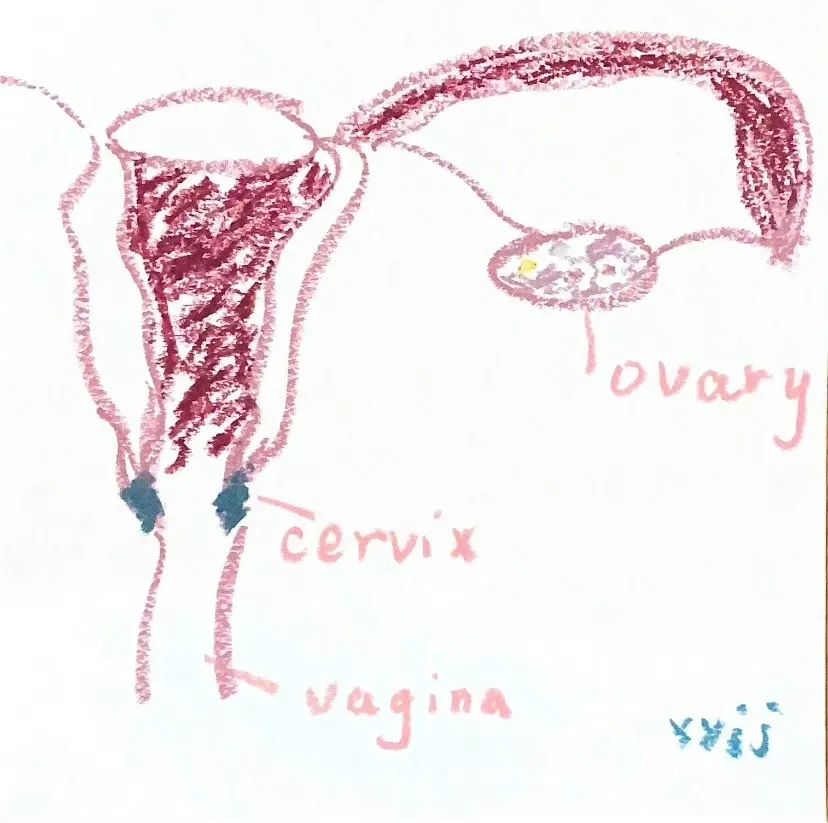 21岁感染高危HPV，我该感到羞耻吗？