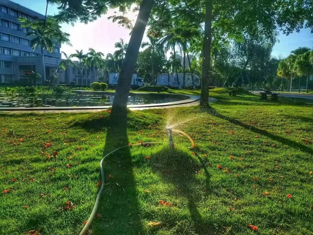 宝藏大学最好的专业,海南大学比较厉害的专业