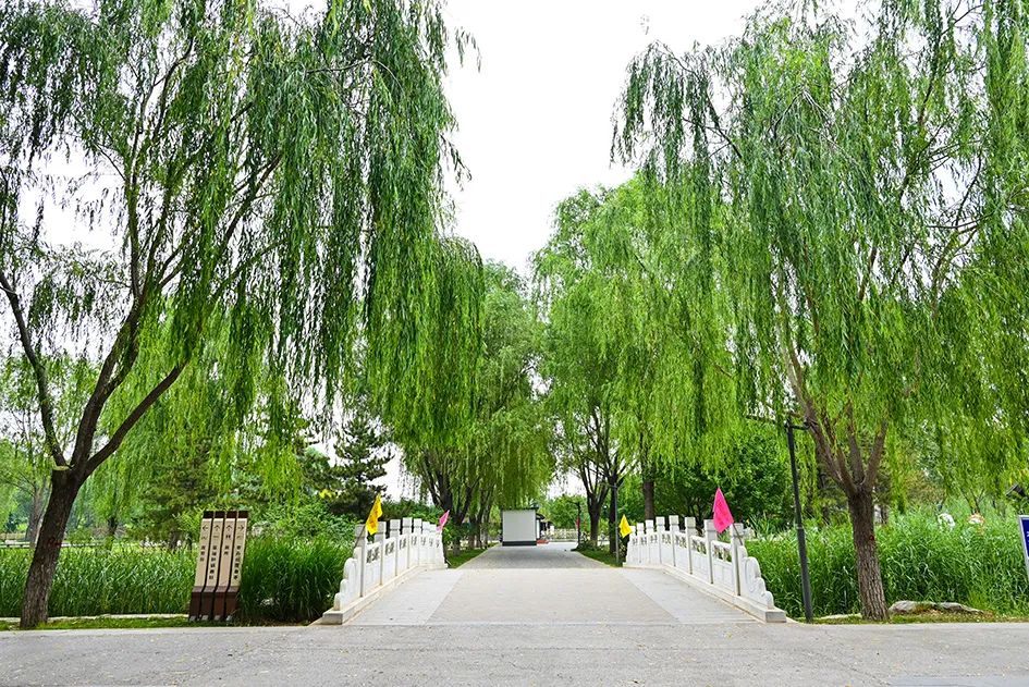 北京免费景美公园大全,北京这个公园也很美