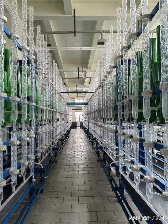 奋楫笃行启新局下一句,昂首阔步启新程奋楫笃行开新篇