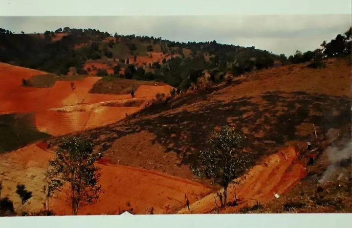 福海茶厂原料,福海茶厂地址