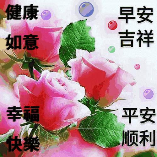 微信最美早晨问候祝福图片带字,早上好最漂亮微信表情祝福图片