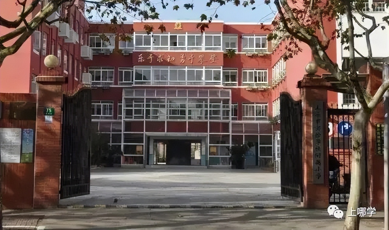 上实2024年招生简章,上实秋招