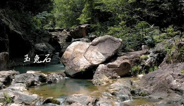 广州室内避暑的地方,广州夏日避暑胜地