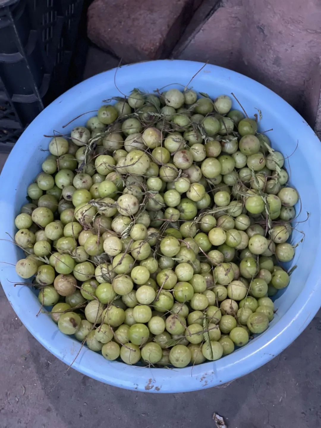 外地朋友来四川吃美食,外地朋友来四川吃苍蝇馆子