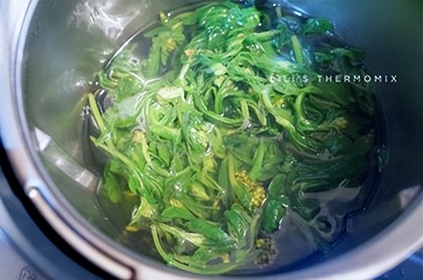 止咳化痰草图片及功效,止咳化痰最快最好的草