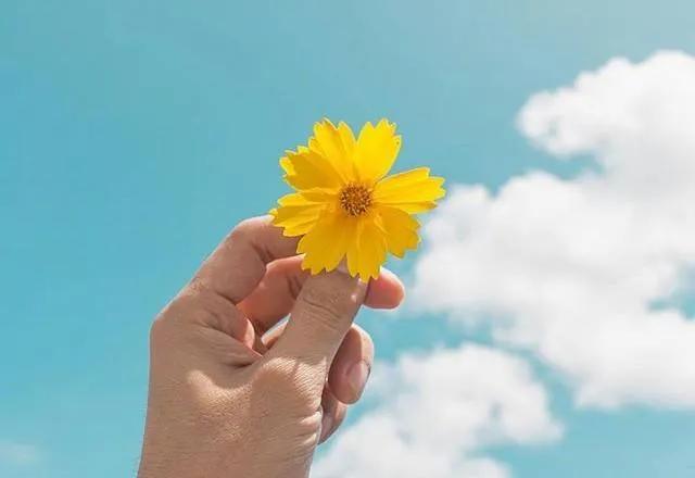 励志名言名句优美句子摘抄短句,励志名言名句短句子大全