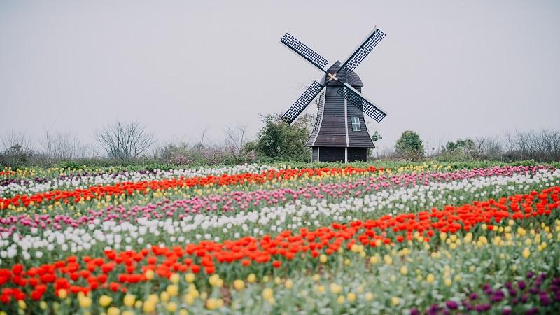 8月出游去哪儿？20条精品旅游线路带你畅享假日活力