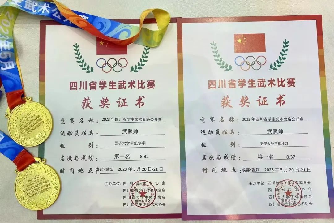 四川省运动会武术套路比赛成绩册,四川省学生武术锦标赛含金量