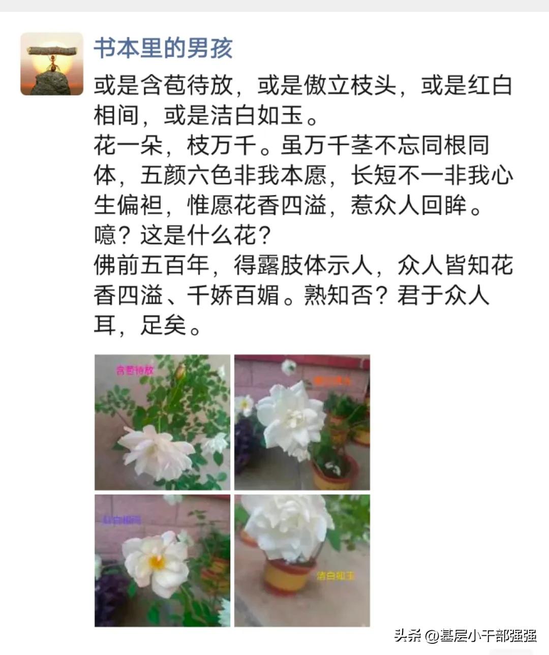 秋雅老公是谁,秋雅王智