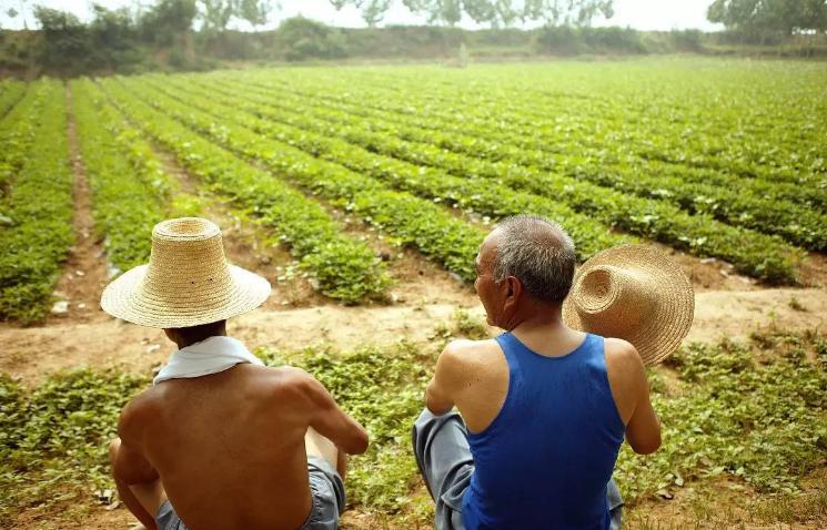温铁军谈未来农村的房子,温铁军谈农村土地和房子要留好