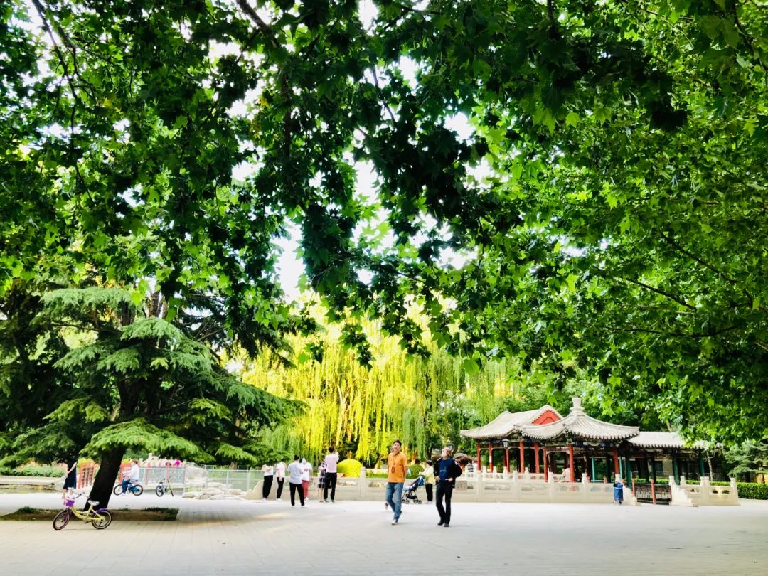 美丽的人民日报大院，我们温暖的家