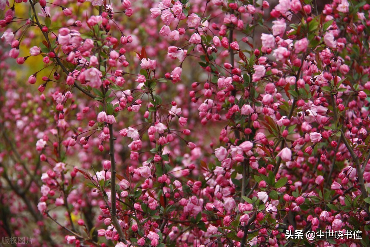 一首经典的哲理词！每一句都是至理名言，值得我们细细品读