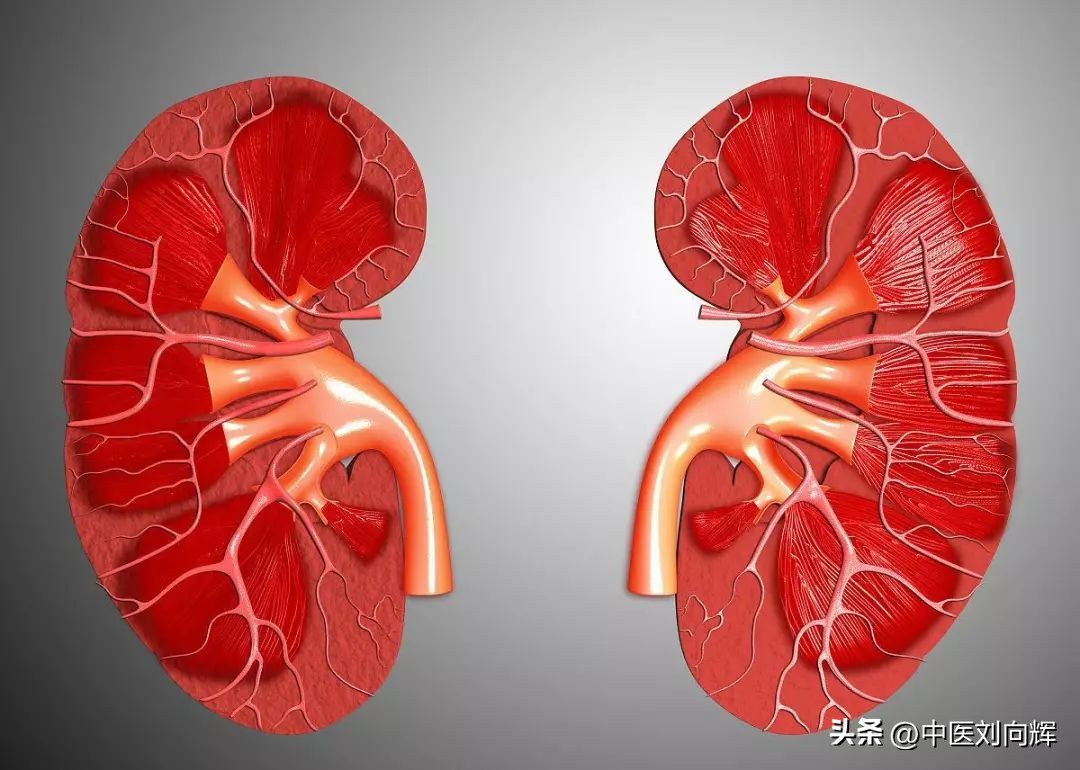 补脾益肾丸与健脾益肠丸的区别,补脾益肾口服液有补脾作用吗