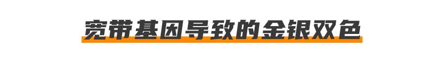 基因克隆最新突破,基因最新突破