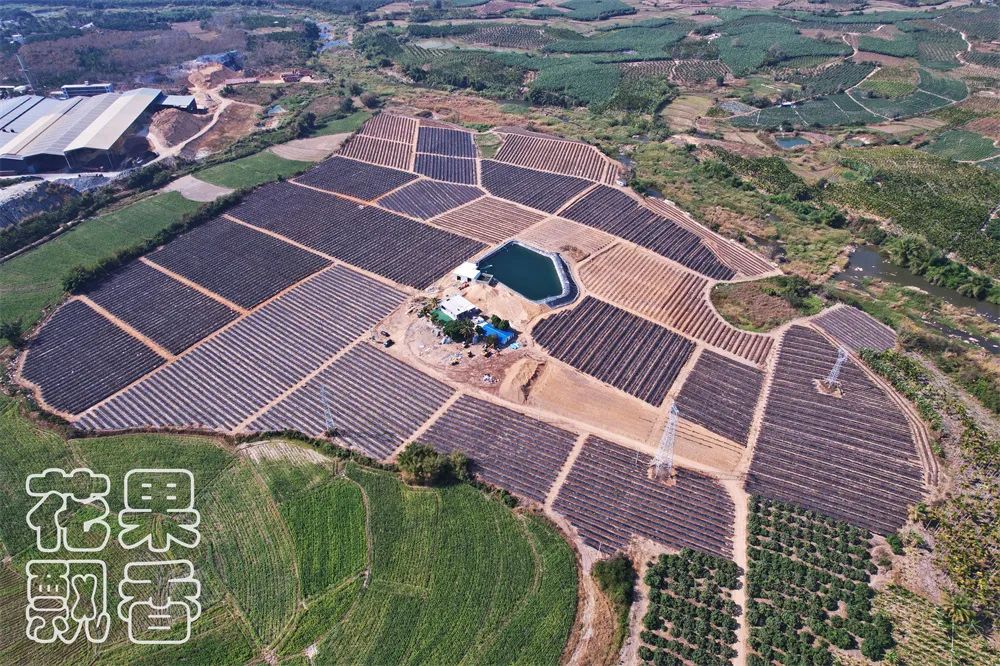 农业项目每亩净收益,农业养殖类项目有没有扶持政策