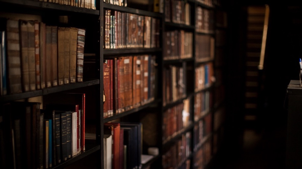 世界读书日分享我的阅读历程,世界读书日分享会分屏