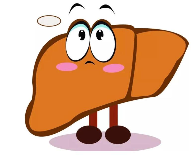 血清谷氨酰基转移酶高是怎么回事,血清谷氨酰转移酶升高是怎么回事