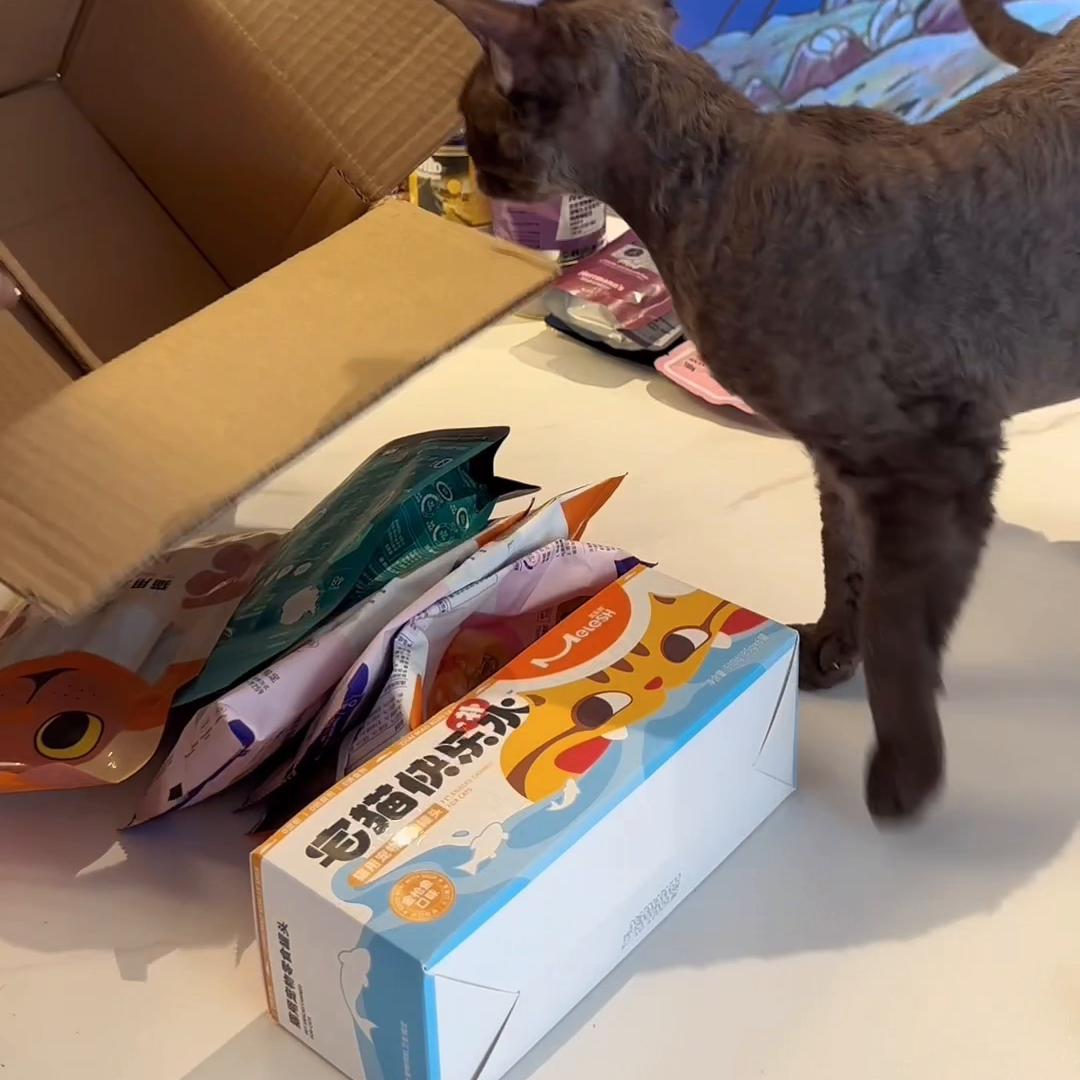 久违的开箱视频,大家期待已久的开箱视频终于来到