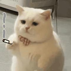 麦当劳明起涨价考虑具体了吗,为什么麦当劳最近涨价了