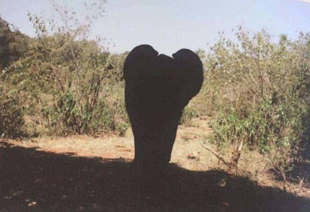 盘点6位被强捧的“星二代”,盘点六位咋捧就是捧不火的星二代