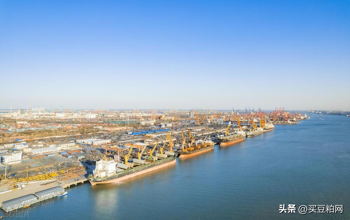 巴西装出保持快速,国内至7月大豆到港同期最高