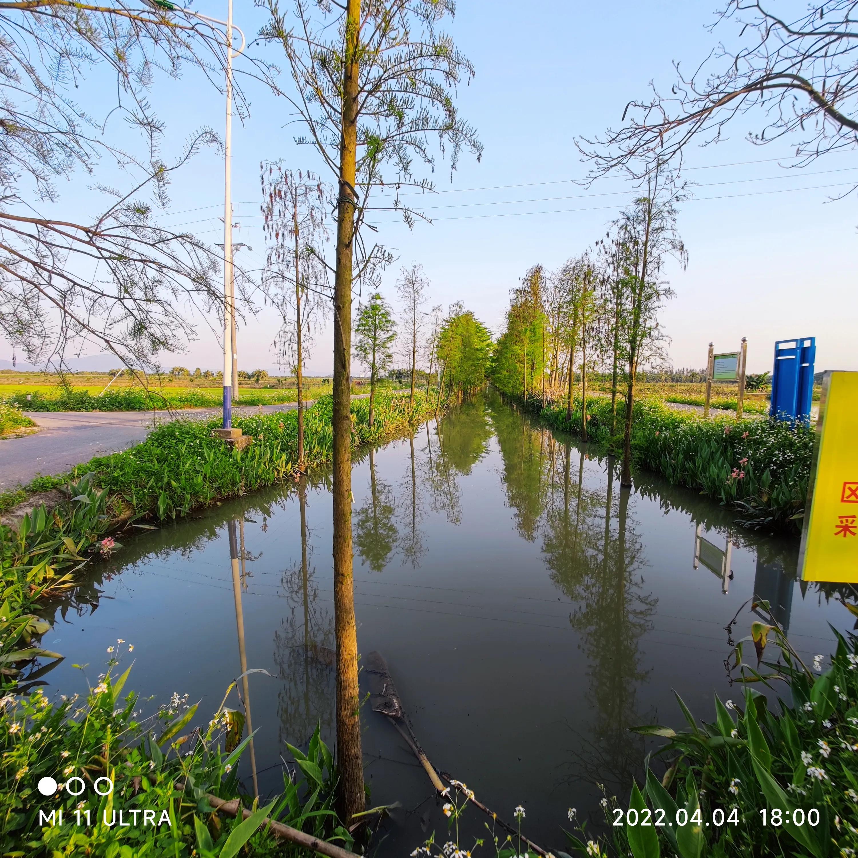 江门市新会区三江镇沙仔场负责人,江门市新会三江镇沙仔