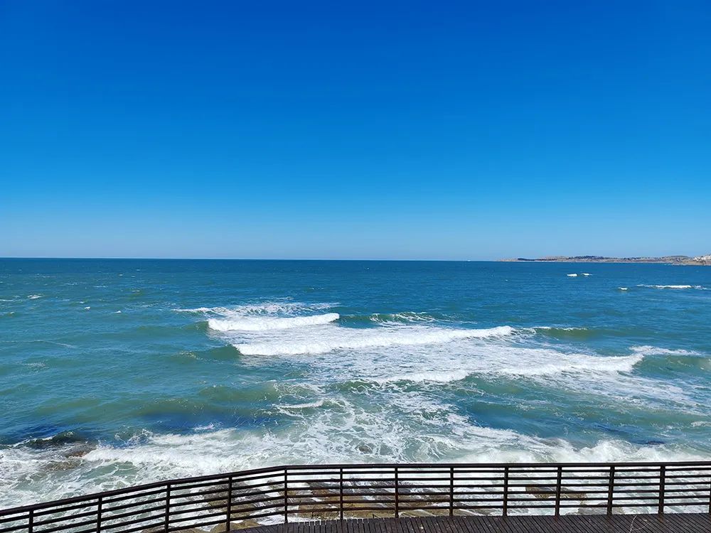 海边城市吃海鲜推荐,海边适合吃海鲜的小众城市