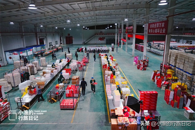 正宗陕西洛川红富士苹果水果,正宗陕西洛川苹果大果