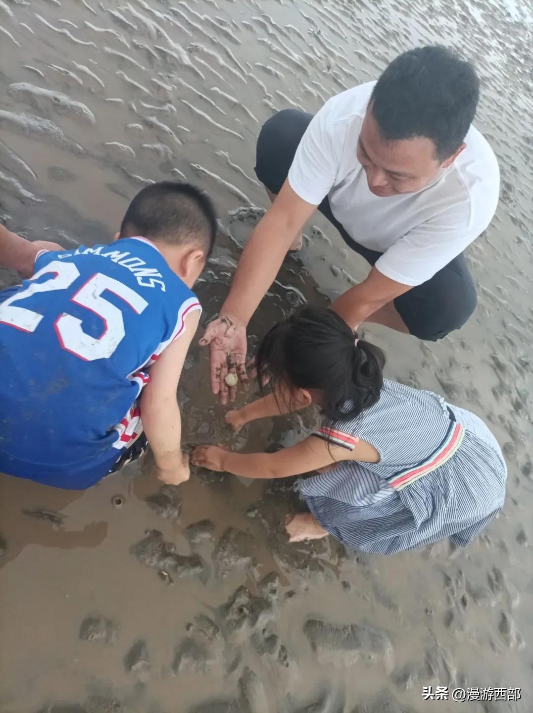 上海踏青一日游推荐,五一上海周边春游攻略