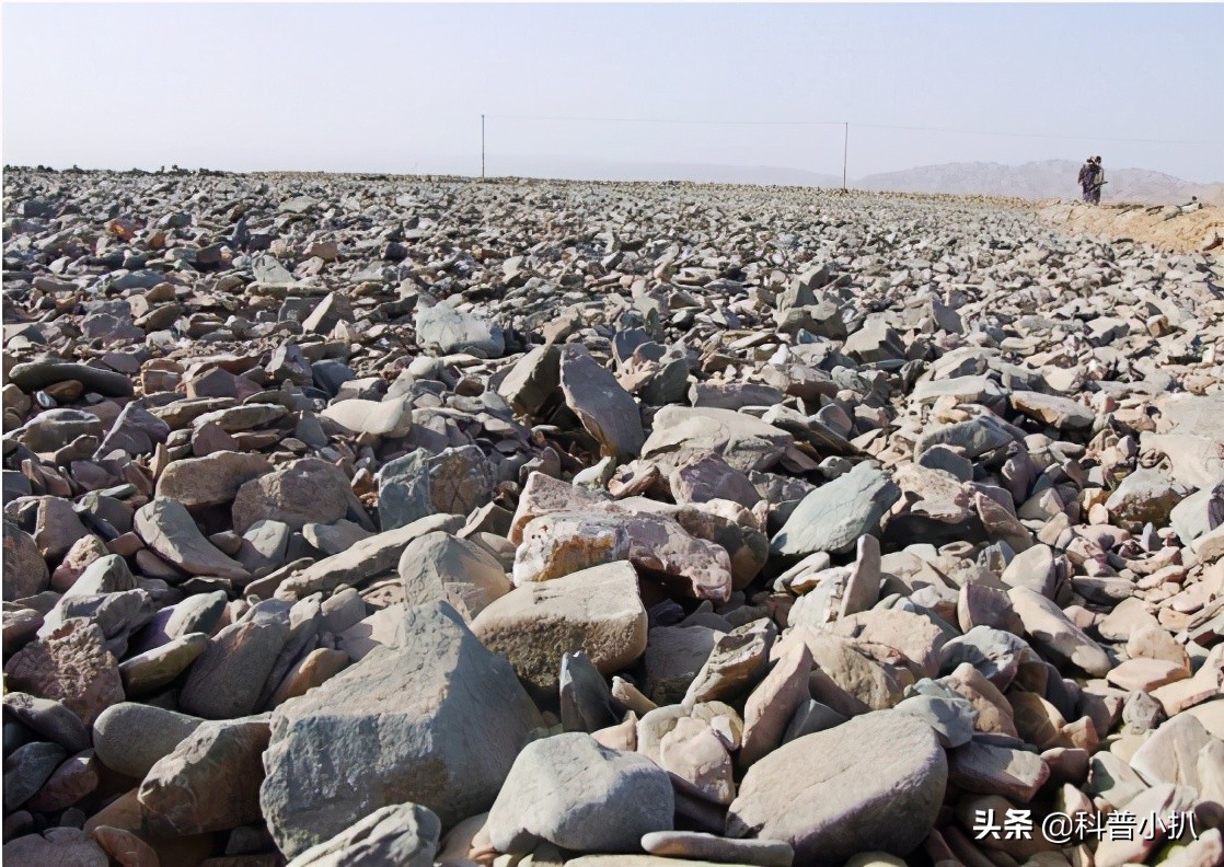 硒砂瓜种植现存问题,种植硒砂瓜的有利自然条件有哪些