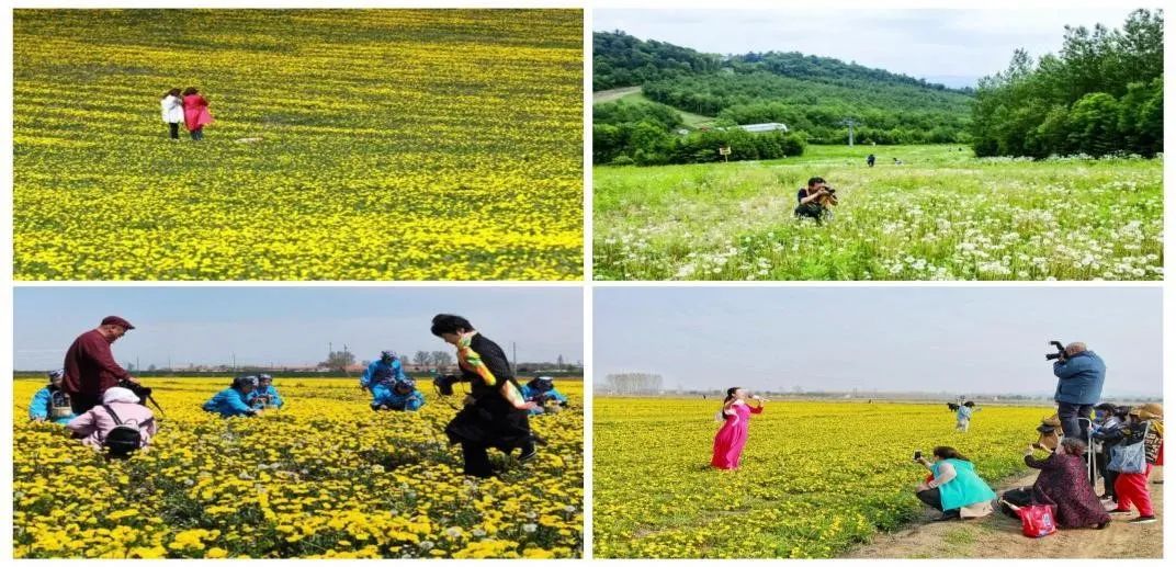 赤峰通辽创业大赛,活力赤峰创业创意大赛