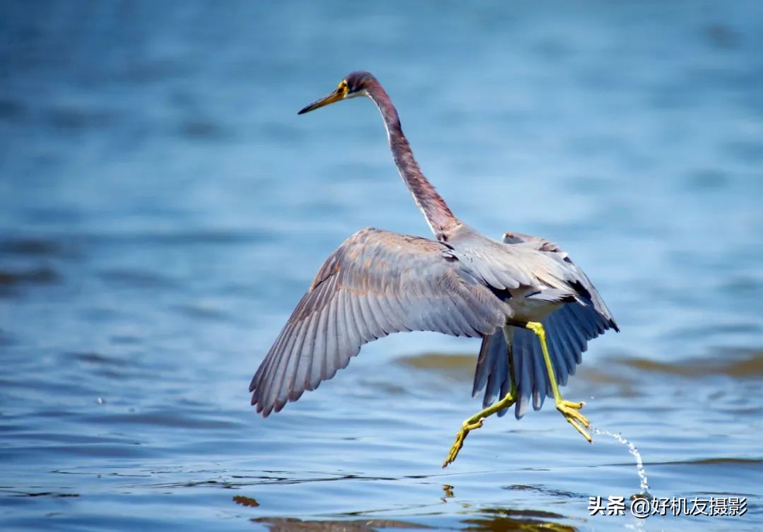 手机相机与朋友圈,发朋友圈用啥相机