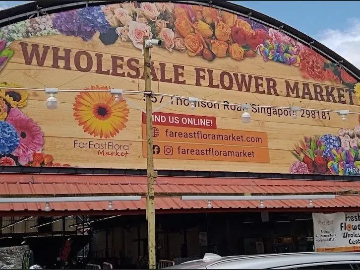 鲜花在水里能养几天会死,新加坡盆栽花卉怎么养